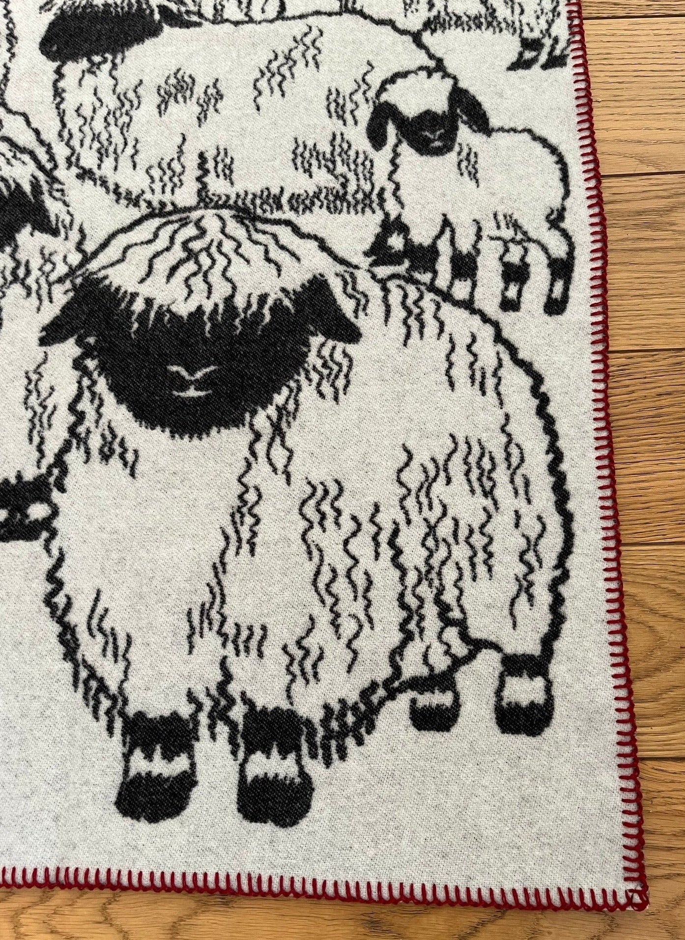 Blacknose Sheep blanket, red border