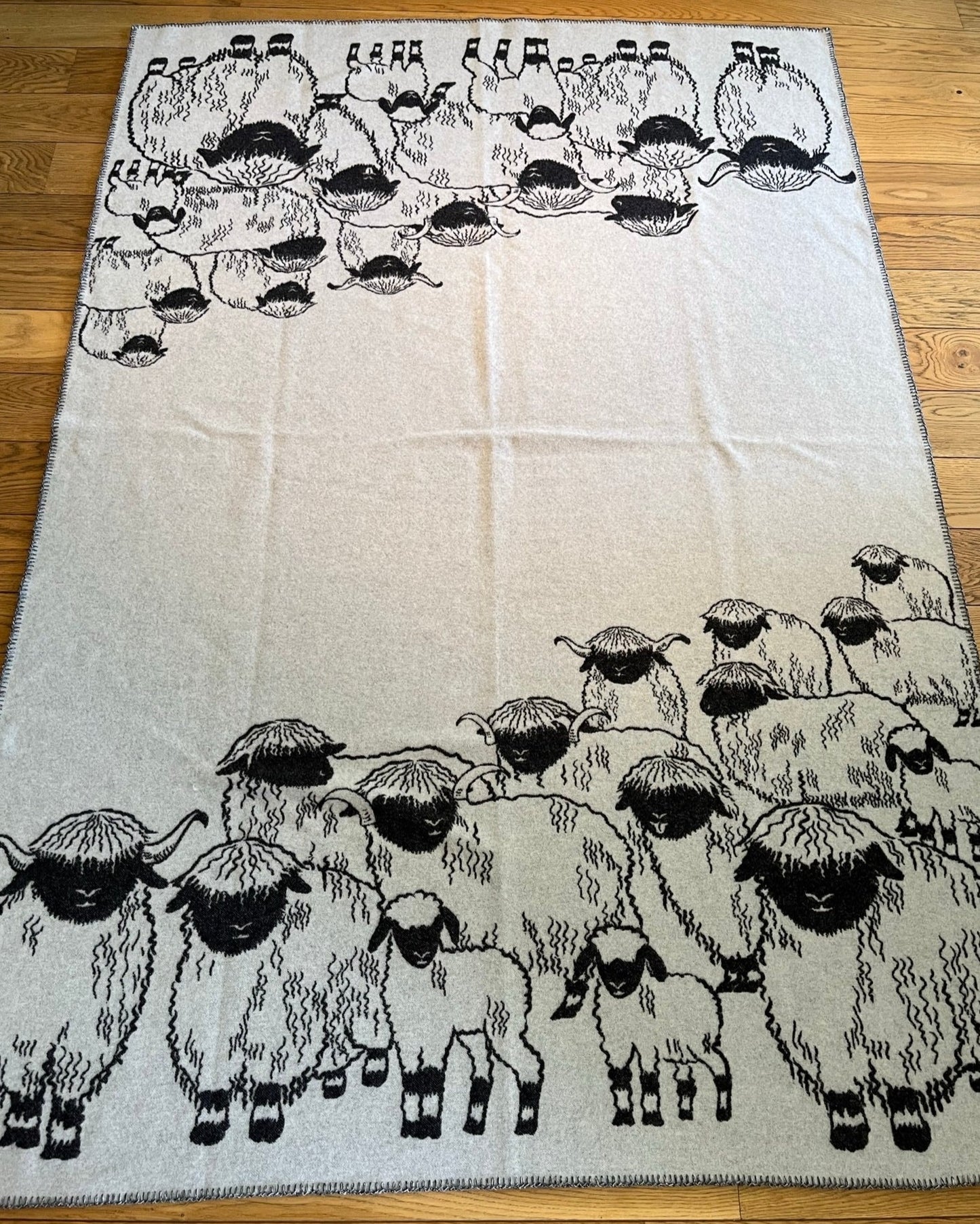Blacknose Sheep Zermatt and Valais wool blanket, grey border